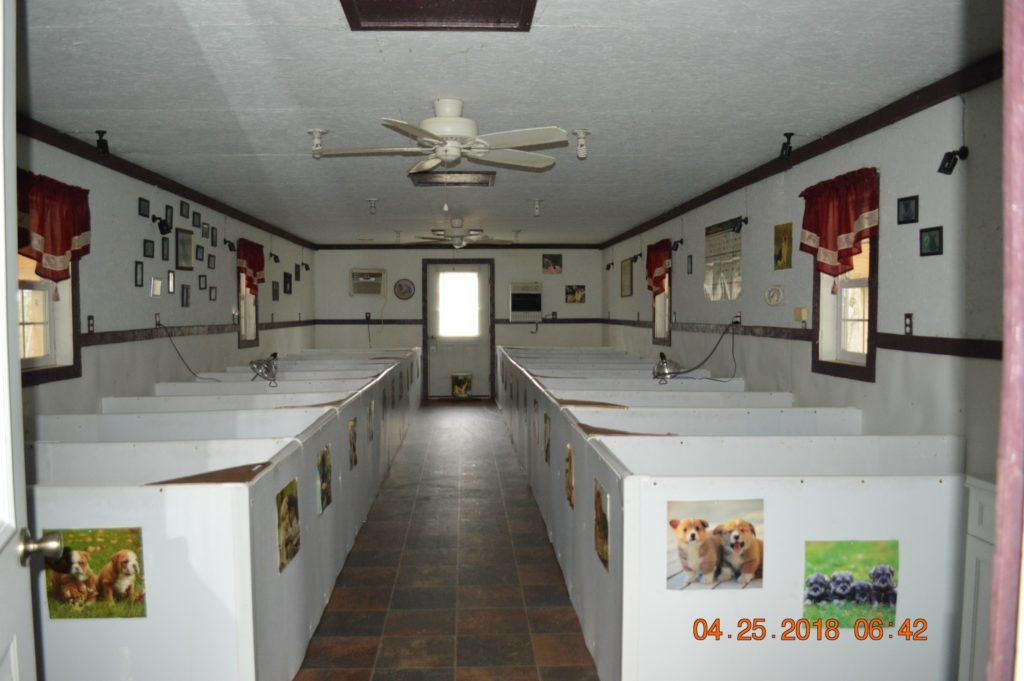 kennel-tour-todd-co-kennel